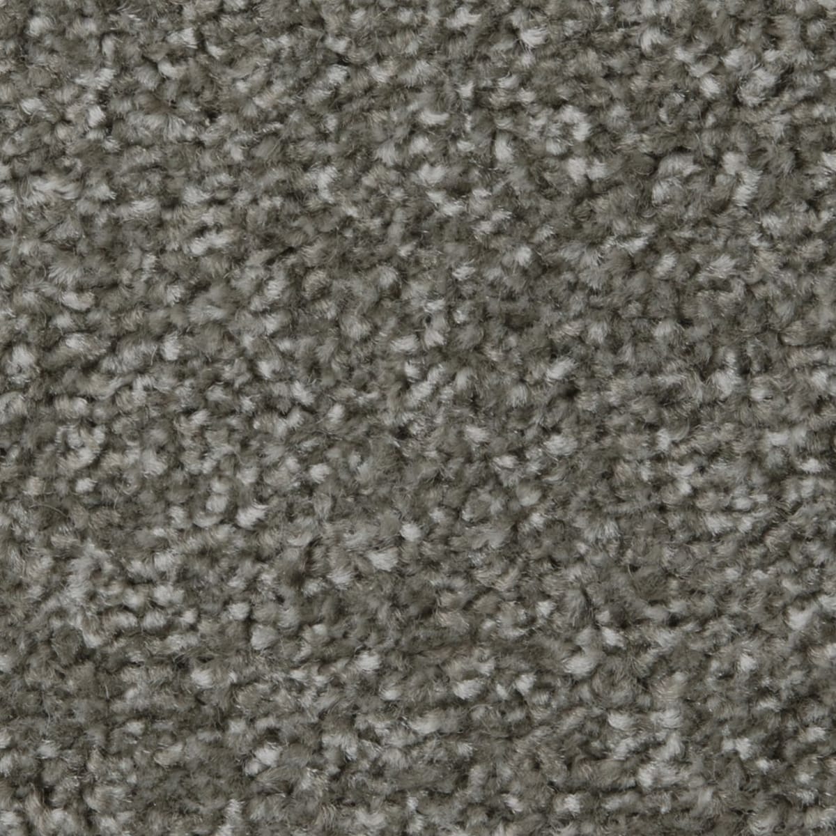 Apollo Plus Ab Cinder Grey Cor001004