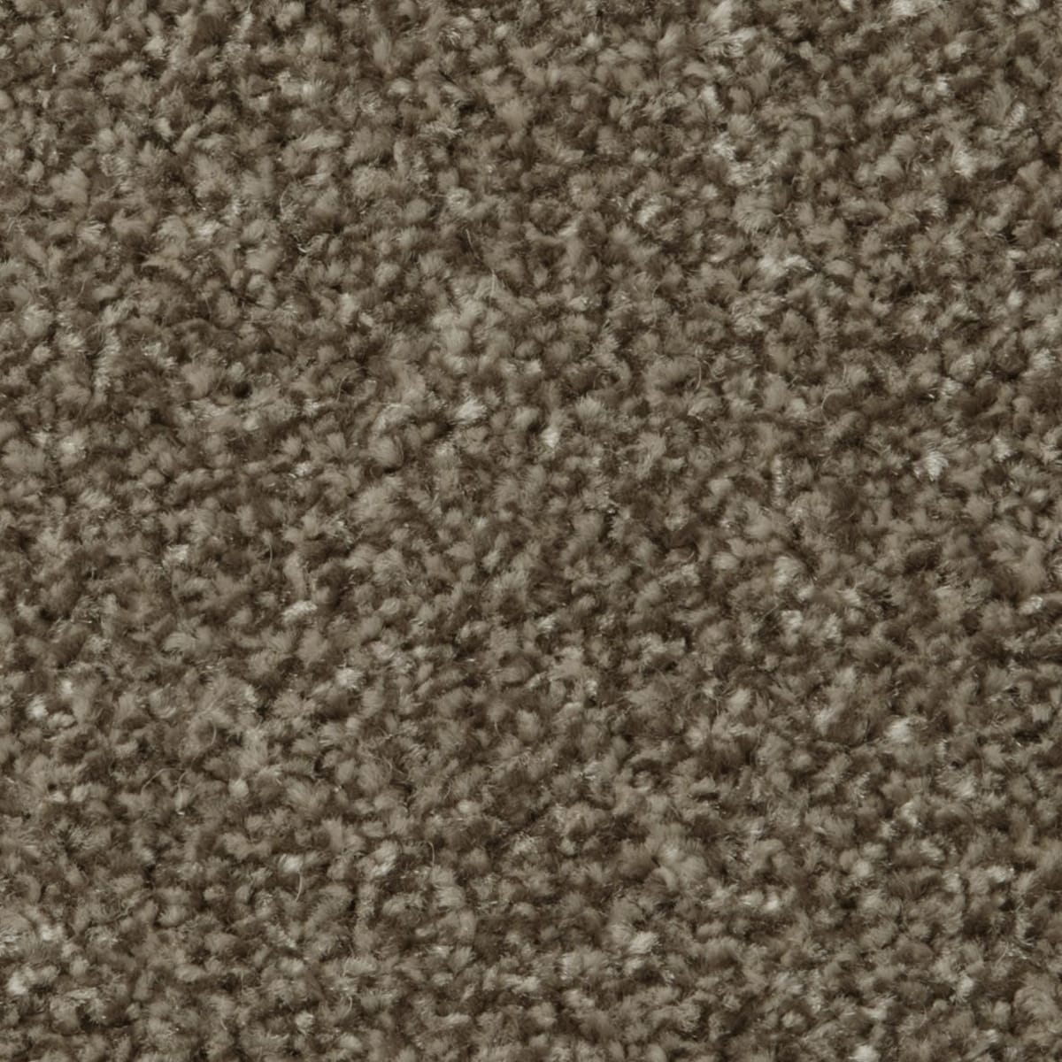 Apollo Plus Ab Cork Oak Cor001005