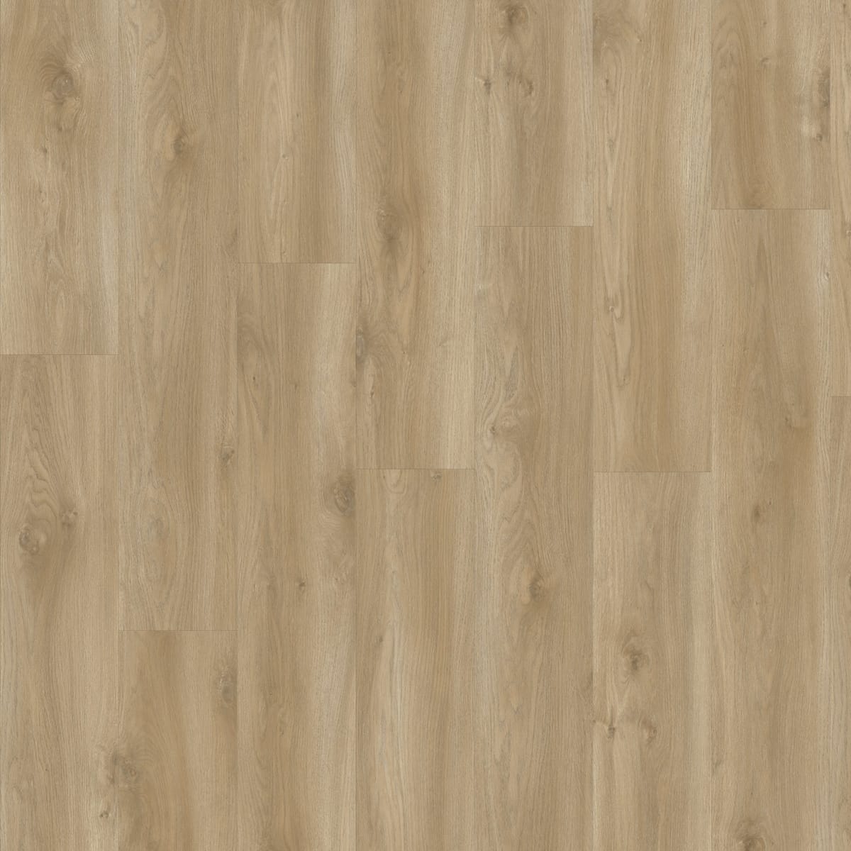 Moduleo Layred Sierra Oak 58847