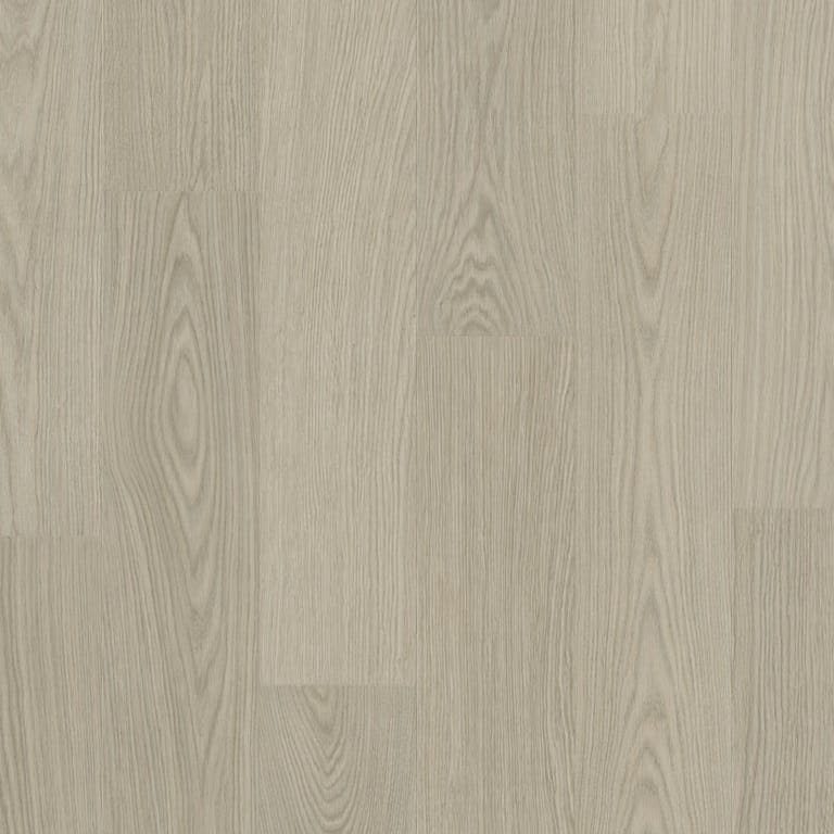 Chia Oak Avspt40280